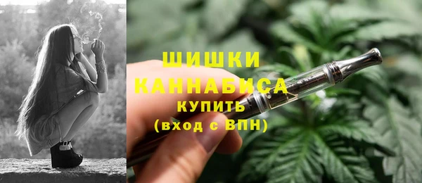 молекула духа Каменка