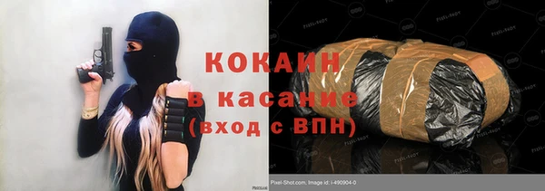 молекула духа Каменка