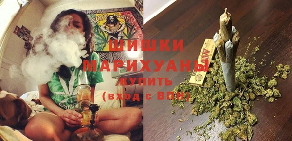 хмурый Каменногорск