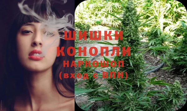 молекула духа Каменск-Шахтинский
