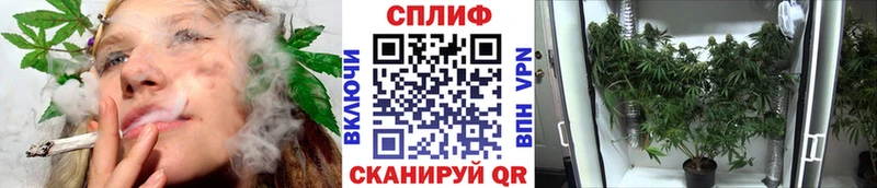 Марихуана AK-47 Буйнакск